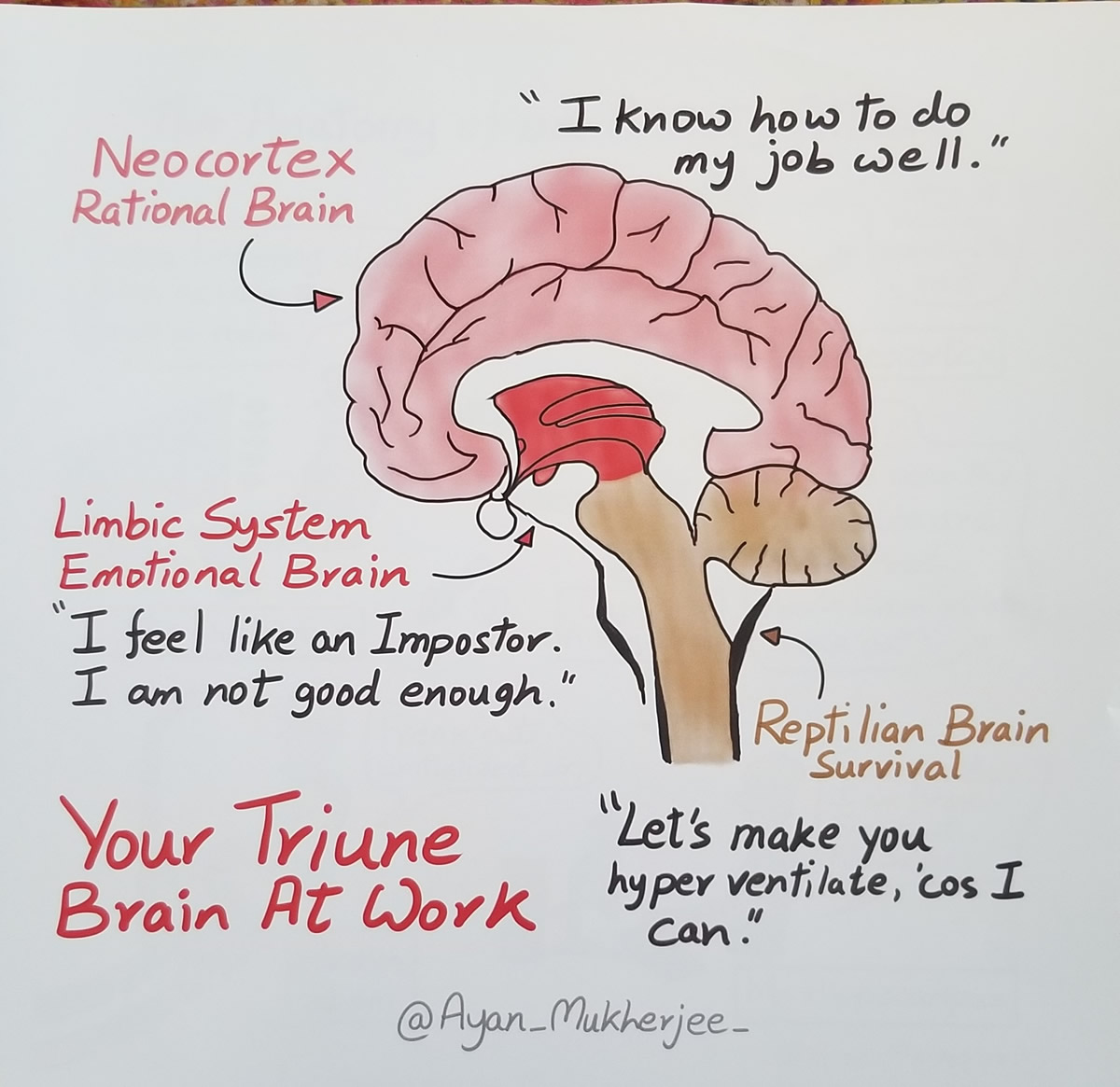 triune brain